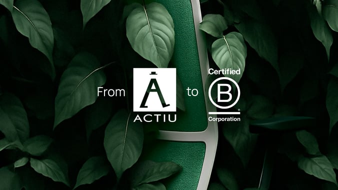 De la visión a B Corp