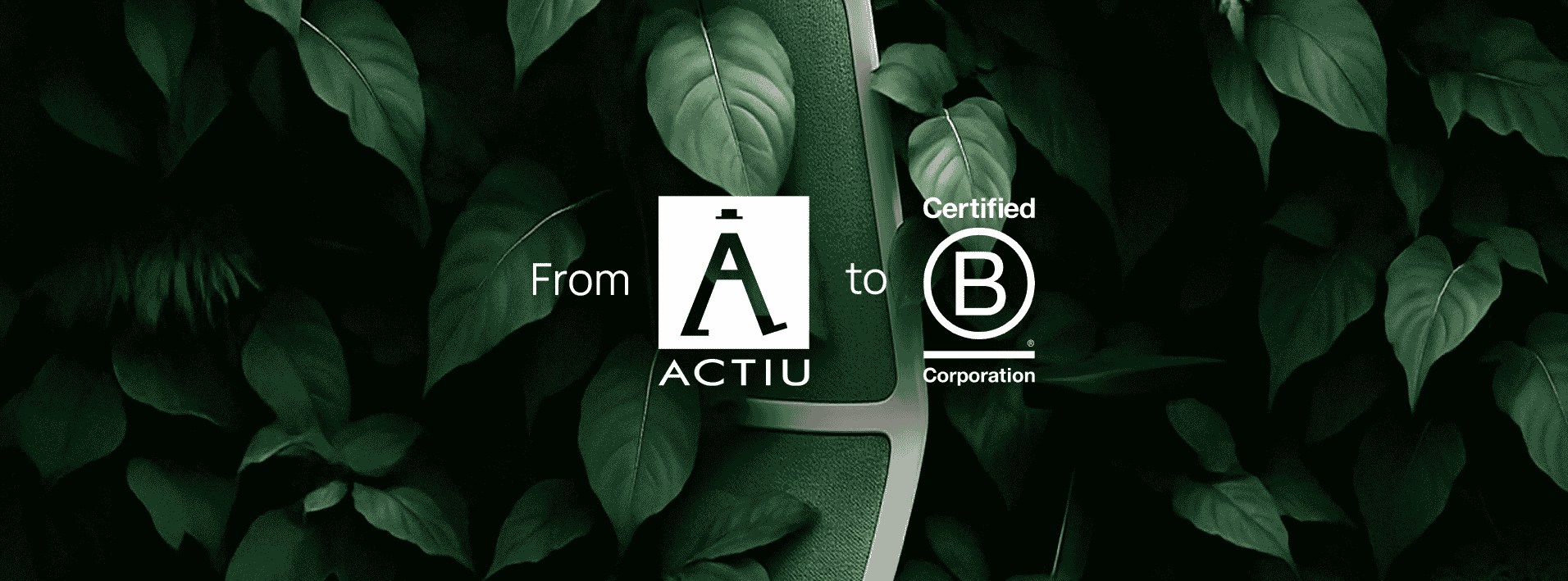 De la visión a B Corp