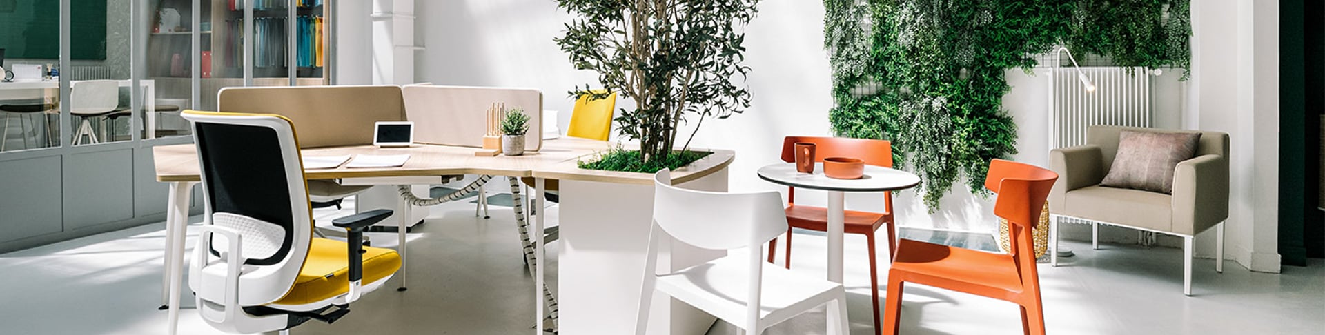 Arquitectura y diseño que cuidan a través de la naturaleza Arquitectura y diseño que cuidan a través de la naturaleza