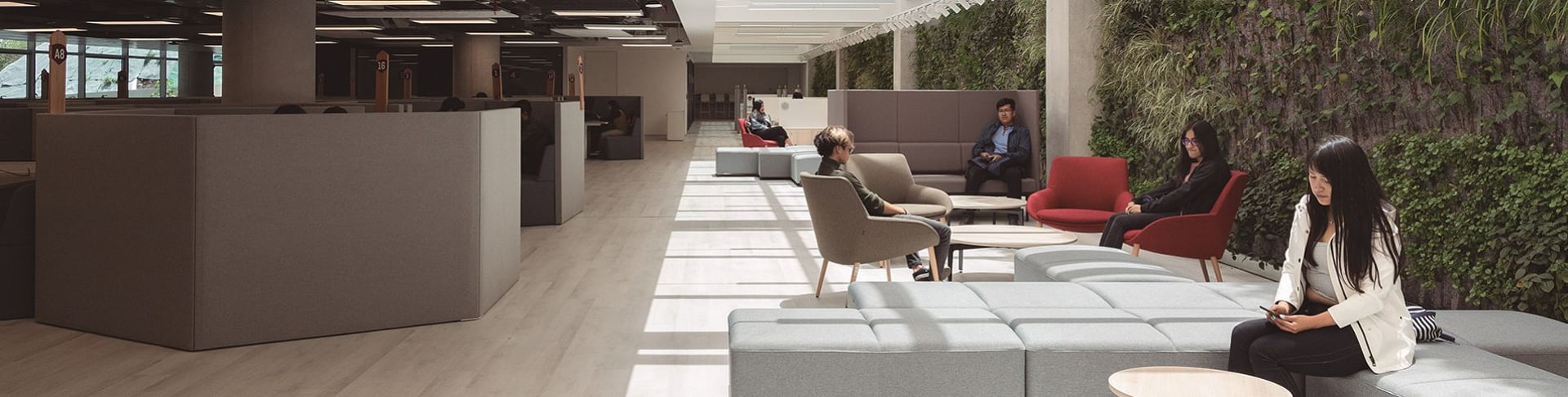 Espacios regenerativos: diseñar el futuro desde la vida y el bienestar