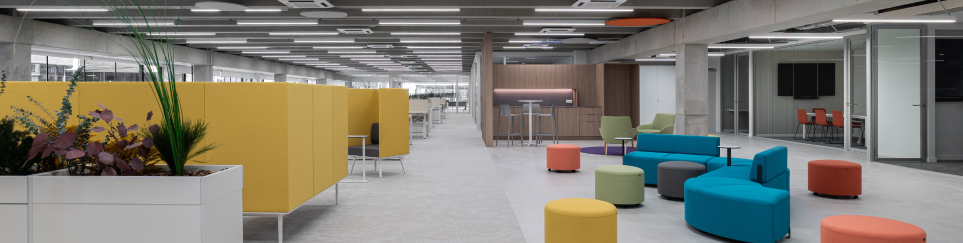 Coworking: tendencias, cómo funciona y cómo diseñar espacios de trabajo compartidos eficientes