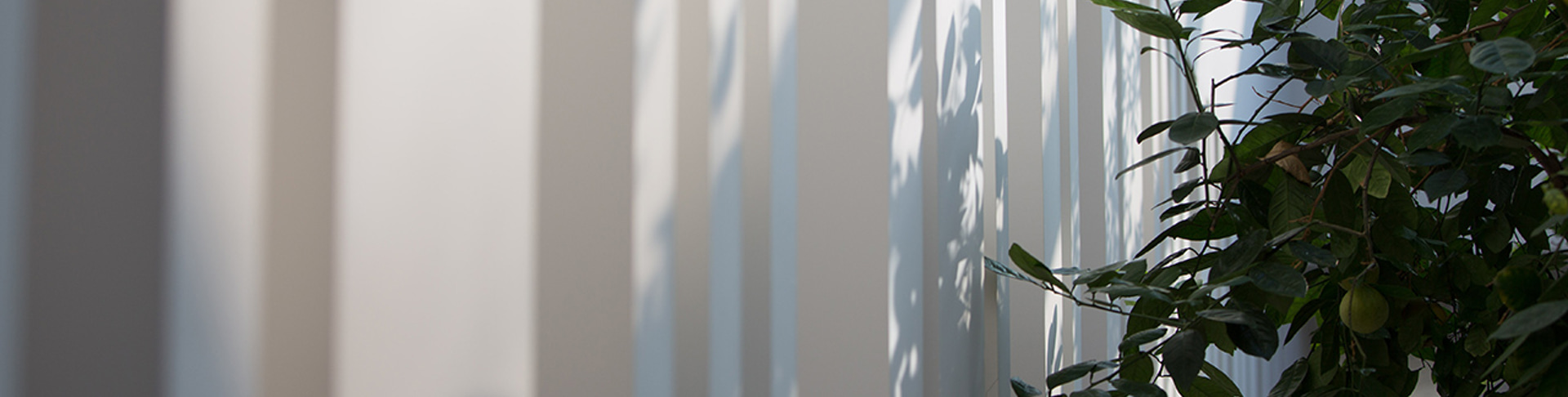 Entretien avec Anna Ferrer sur le Design Biophilique