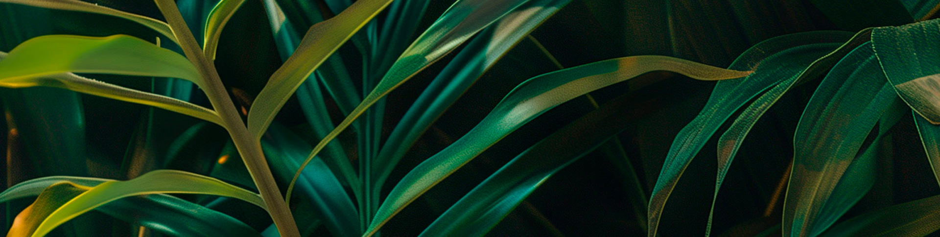 Medioambientazo: El decálogo de medidas para trabajar en el mejor ambiente