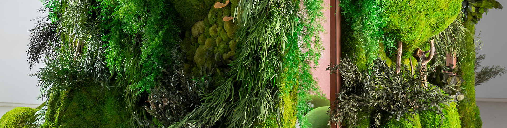 Discuter avec WANNA de Welcome Indoor Creatures