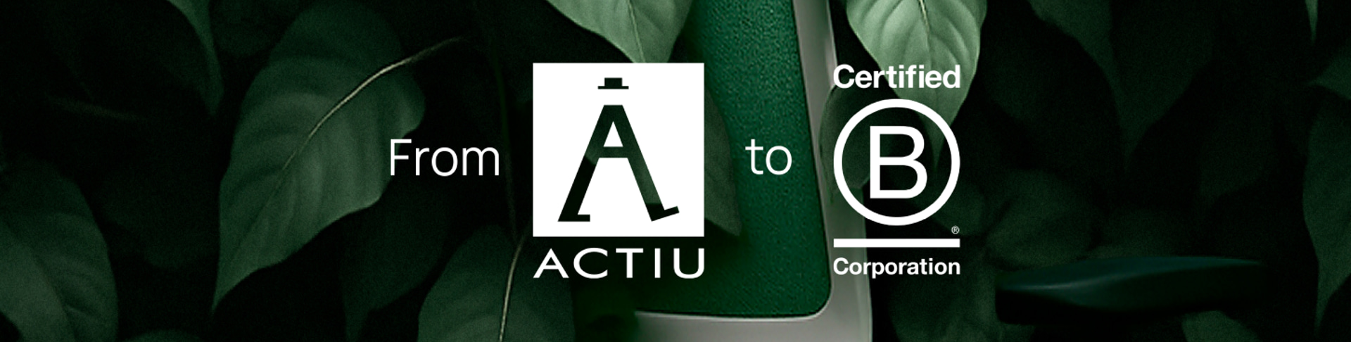 De la vision à la B Corp™