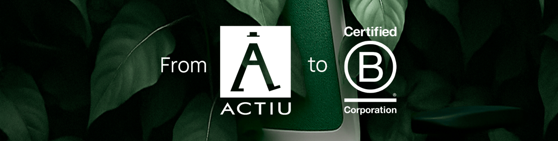 From Vision to B Corp™