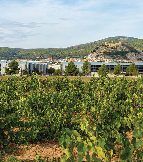 Im Gespräch mit José Manuel Ferrero über das IKIGAI-Konzept 