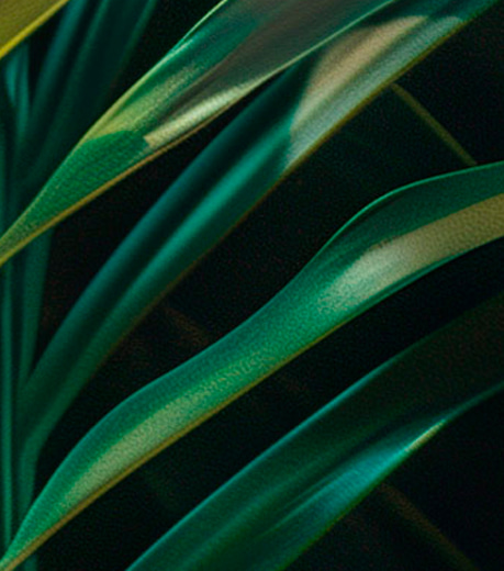 Medioambientazo: El decálogo de medidas para trabajar en el mejor ambiente