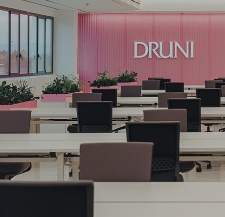 Druni