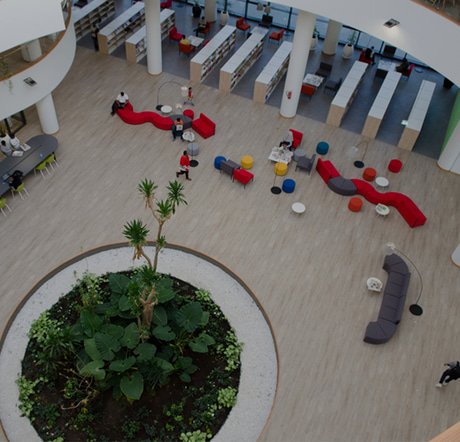 Biblioteca Addis Abeba