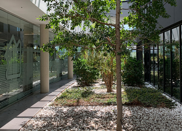 Jardín interior en las oficinas Actiu, Castalla (España)