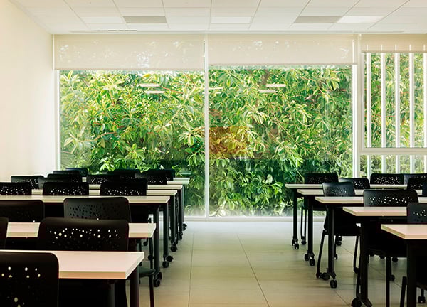 Universidad Europea