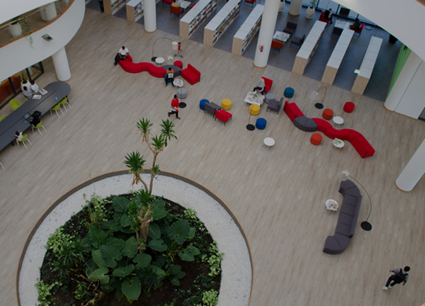 Biblioteca Addis Abeba