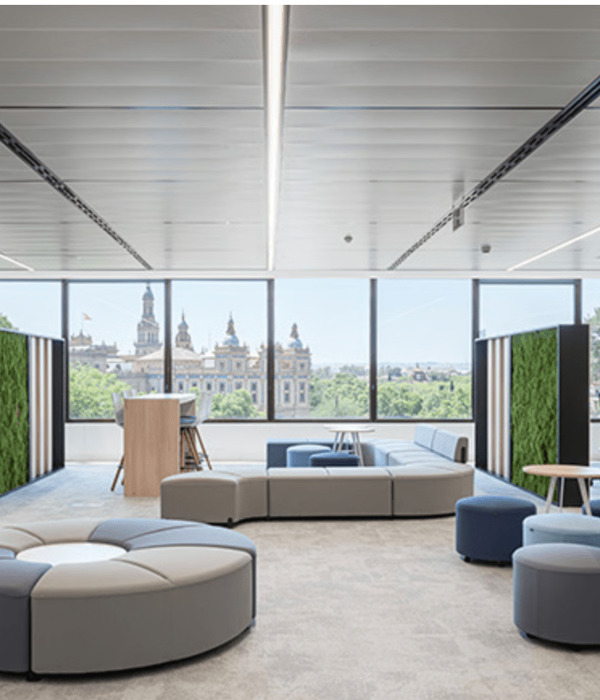 Proyecto de Endesa