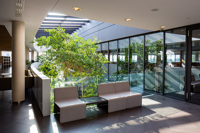 Oficinas Actiu, Castalla (España)