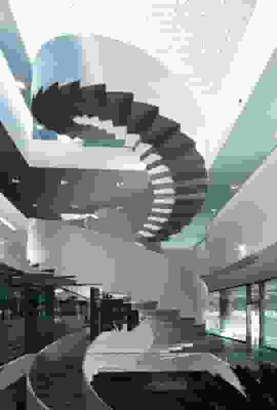 Image Gallery