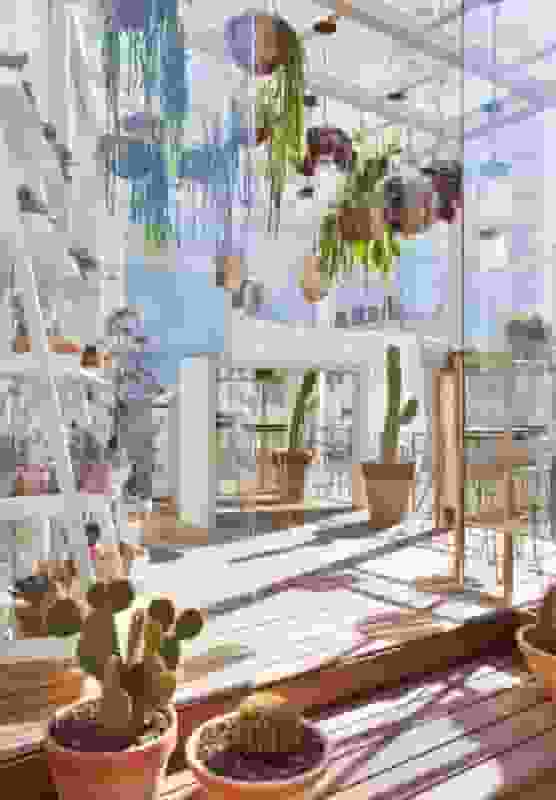 Image Gallery
