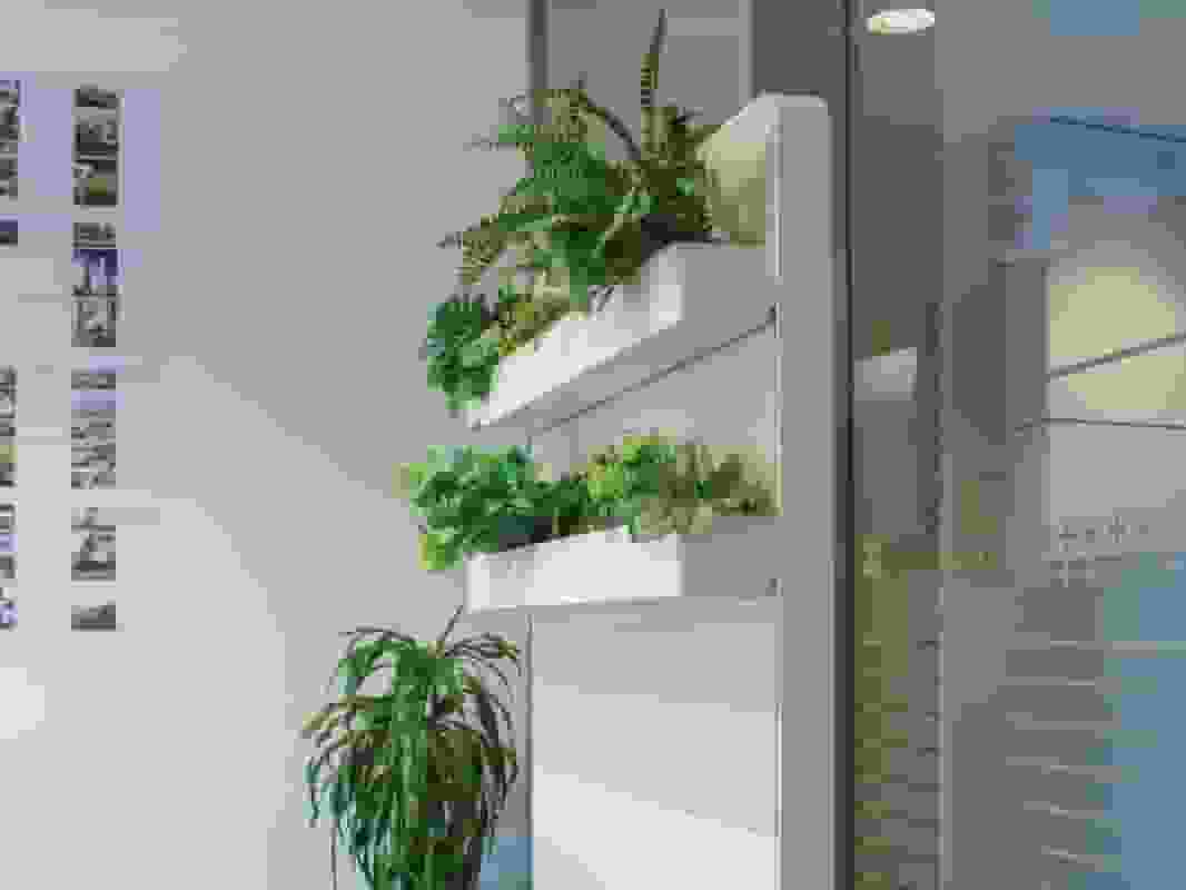 Image Gallery