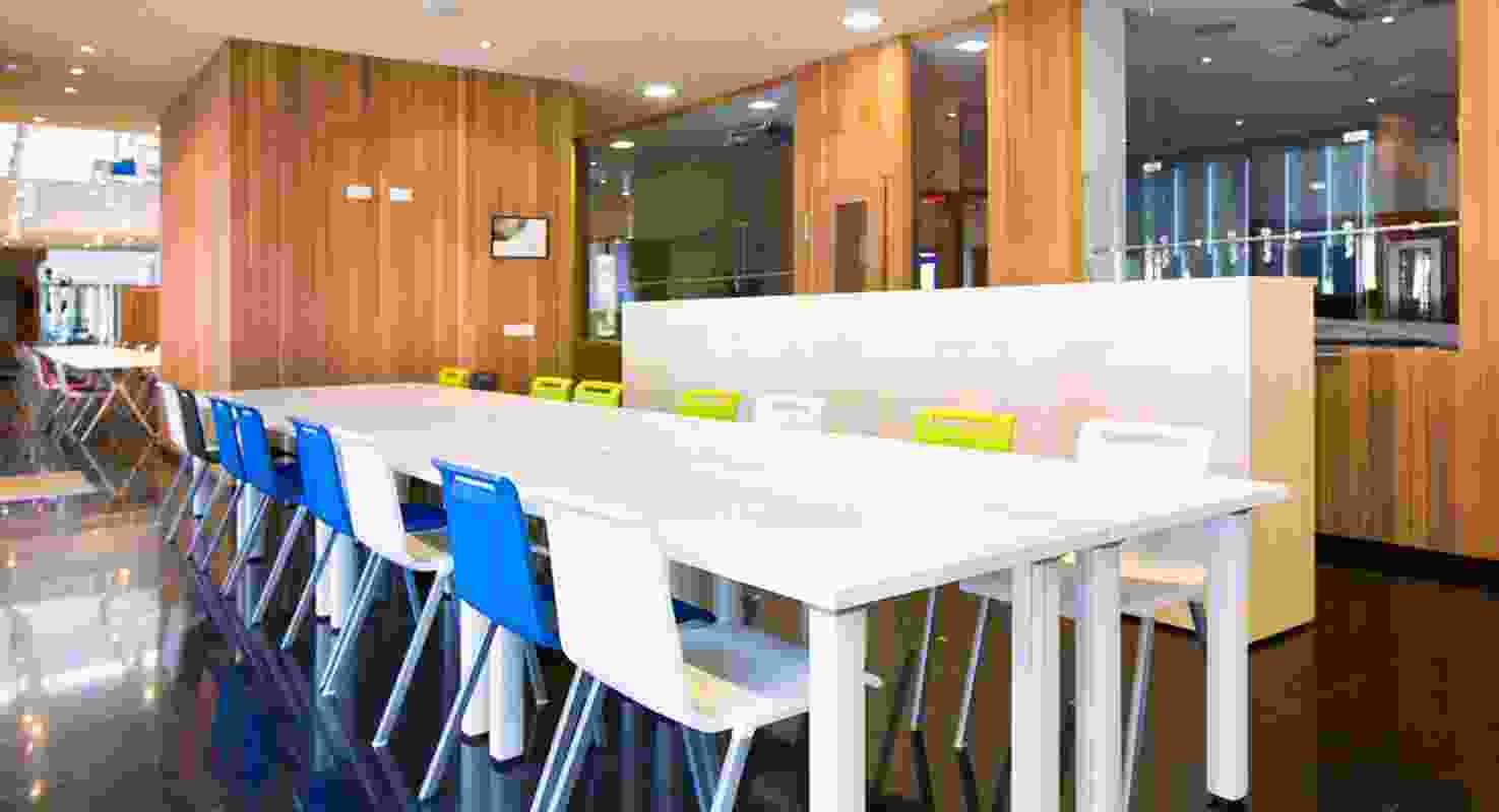 Image Gallery