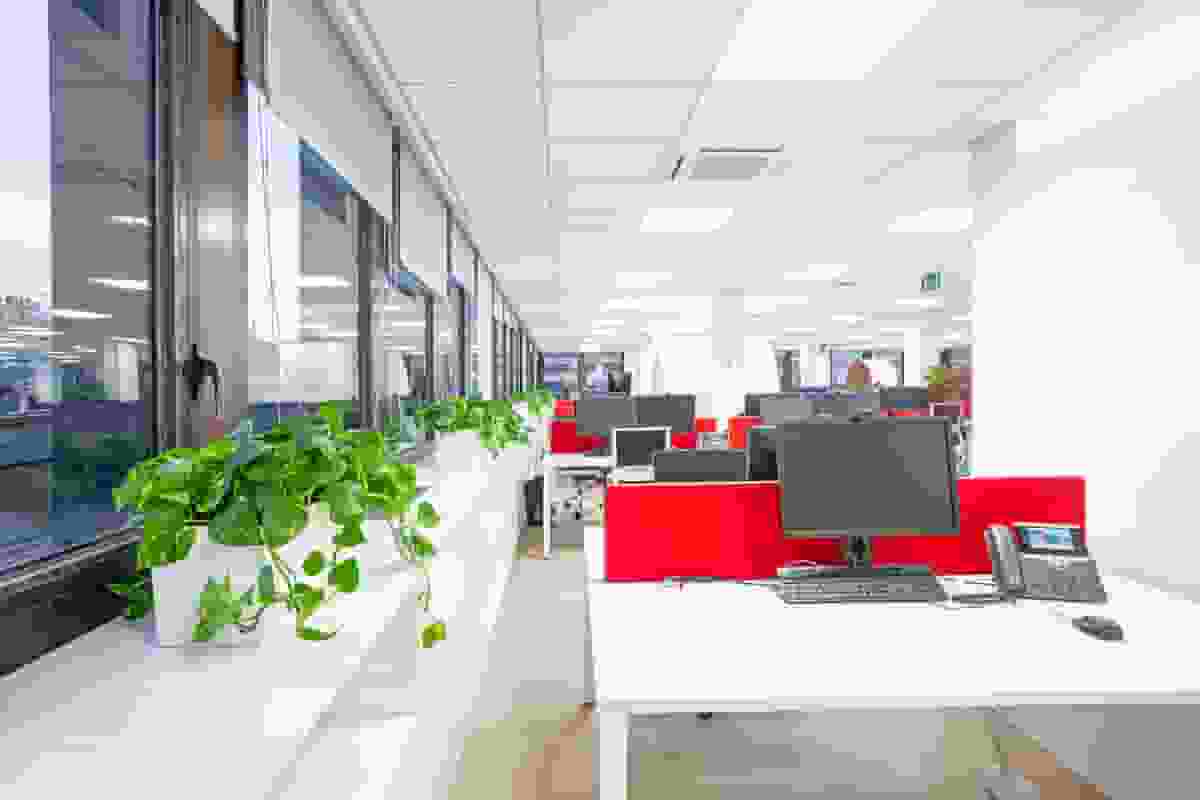 Image Gallery