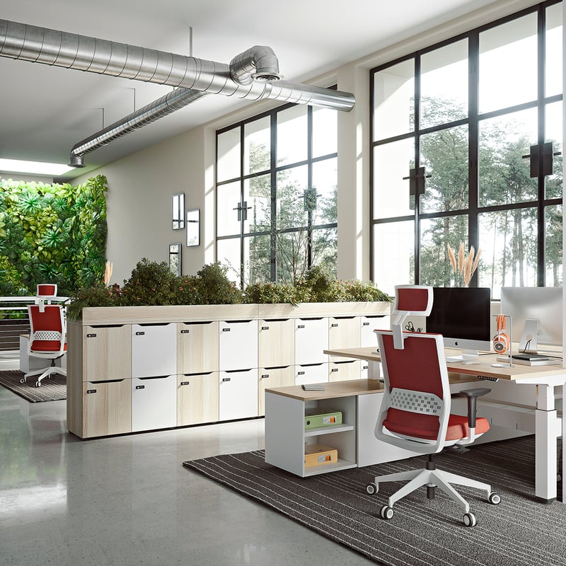 Image Gallery