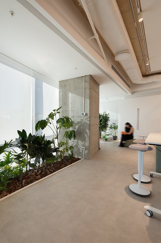 Image Gallery